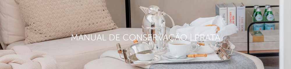 How to Preserve | SILVER
