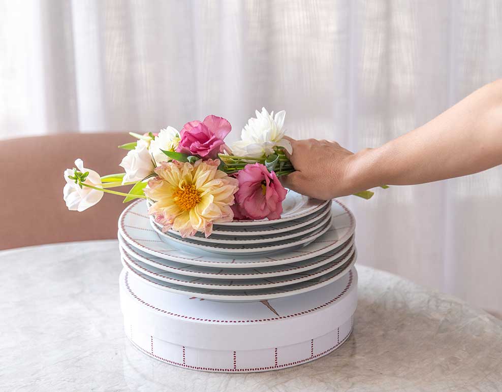 Protea Collection