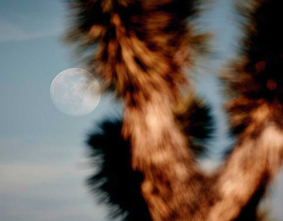 Full Moon