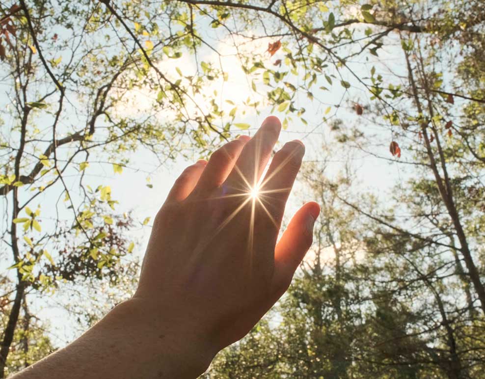 Sun in Virgo