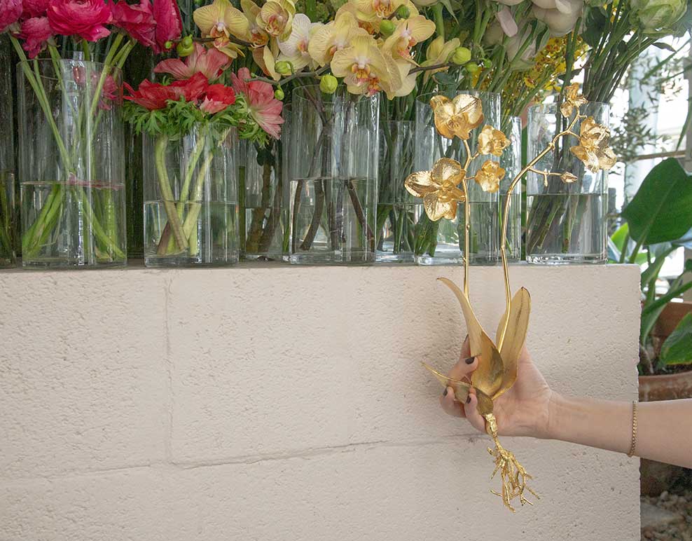 Floral Influence