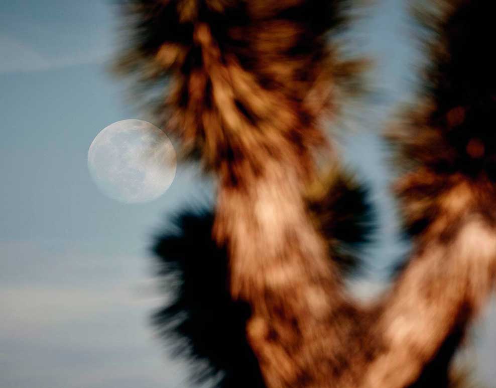 To align and transform