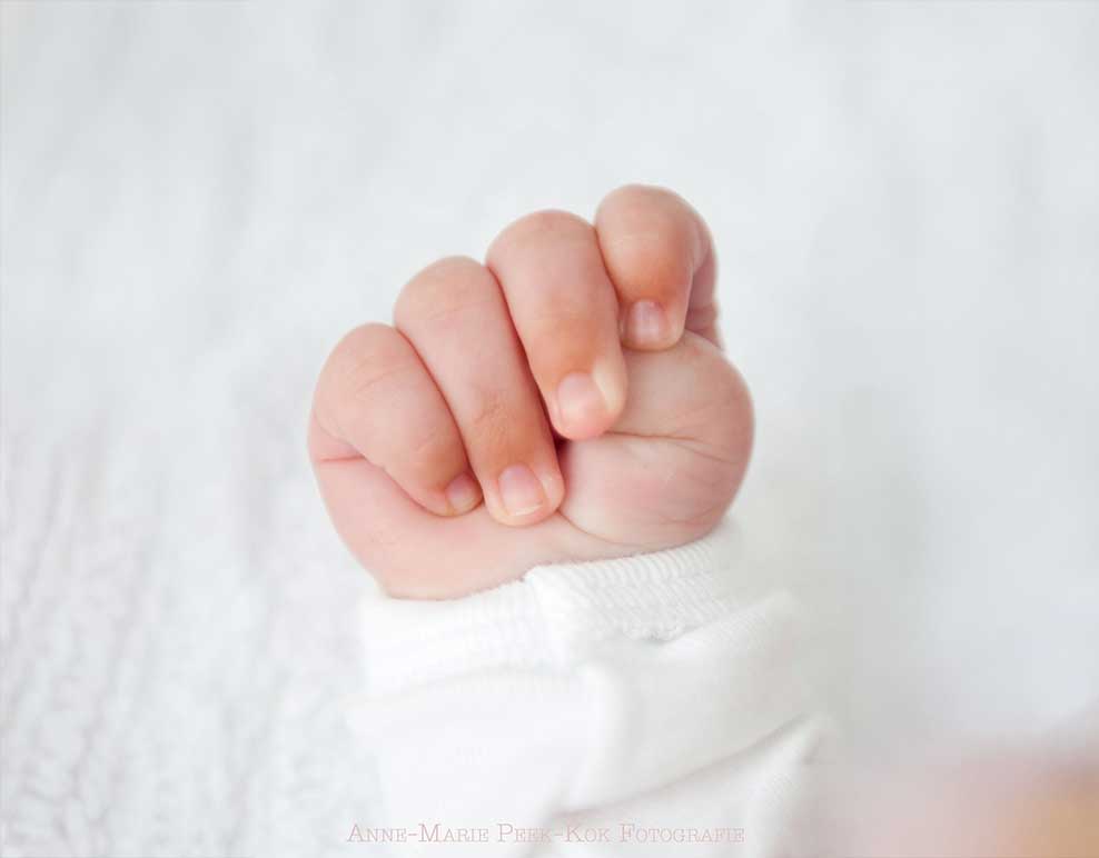 Welcome Baby!