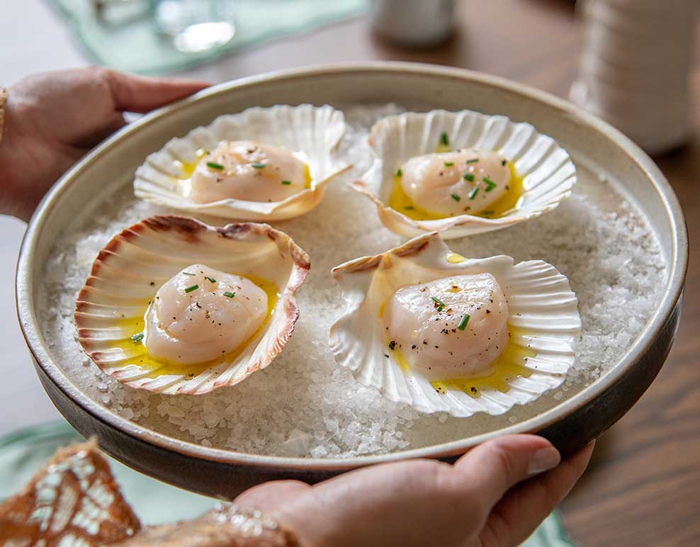 Scallop in the Shell