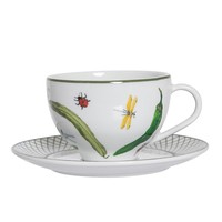Tea Cup Pepper Tree