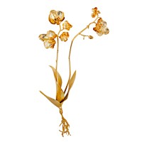 Orchid Sculpture L