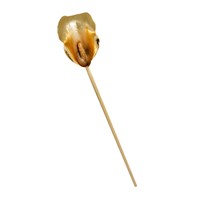 Calla Sculpture IV